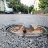 Vorsicht Falle! Das Polizeifoto zeigt, wie der Metalldorn eines umgedrehten Deckels eines Wasserschiebers in der Johannisstraße in Hofheim aus dem Straßenbelag hervorragt.