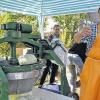 Frisch geschnitten: Anton Hertlein verkaufte beim Krautfest säckeweise Kraut – durchschnittlich 4,5 Tonnen am Tag.