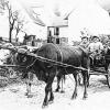 Landwirtschaft spielte im heutigen 600-Einwohner-Dorf eine große Rolle. Familien und Bauernhöfe werden in der Ortschronik beleuchtet.