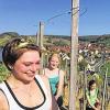 An der Steillage Langenberg sind die neue Retzstadter Weinprinzessin Olivia Teel sowie Sophia May und Lea Schmitt im Einsatz, um die sogenannten RAK-Dispenser auszuhängen.