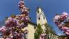 Würzburg, St. Stephan im Frühling