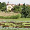 Gärtnerfest mit musikalischem Frühschoppen: Zum vierten Mal nach der Gartenschau 2011 lädt der Gartenbauverein Etwashausen-Kitzingen zum Gärtnerfest. Gefeiert wird rund um die Salatblume. FOTO Rolf Wenkheimer