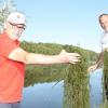 Machtlos: Roland Johannes (links) und Holger Frank von den Angelfreunden Nassachtal haben einen winzigen Bruchteil der im Messelauer See wuchernden Wasserpest herausgefischt. Der Einsatz eines Mähgeräts ist am Mittwoch gescheitert. Per Hand lässt sich der Plage nicht Herr werden.
