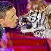 Attraktion beim Zirkus Charles Knie: Tom Dieck zeigt mit seinen Raubtieren eine tolle Show.