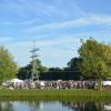 10 000 Besucher bei der Tanzinsel 2015 in Gemünden.