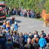 Vorführungen: Bei strahlendem Sonnenschein fanden sich tausende Besucher auf dem Gelände der Feuerwehr in Haßfurt ein. Frederik Rumpel, zweiter Vorsitzender des Feuerwehrvereins, zeigte sich mehr als zufrieden, denn die 3000 bis 4000 Besucher des letzten Tags der offenen Tür 2012 wurden dieses Jahr übertroffen.