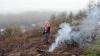Rauch im Nebel: Nach den Ziegen waren am Hang überm Main noch einmal Rodungsarbeiten fällig.