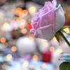 Trauer nach dem Terror: Vergebung sei etwas Persönliches, sagt Rais Bhuiyan. Wer eine Situation wie die Anschläge in Paris erlebt hat, für den gibt es keine einfachen Antworten.