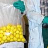 Schälen für Großabnehmer: Die Mainfrankenhof Schwarzenau GmbH ist wegen Zahlungsunfähigkeit in wirtschaftlicher Schieflage.