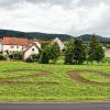 Große Zahl – großes Ereignis: Im vergangenen Sommer bereits kündigten die Friesenhäuser und Rottensteiner ihren 1200. Geburtstag an.