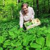 (gmv)   Wer Giersch, Brennnessel oder Löwenzahn in seinem Garten hat, versucht diese „Unkräuter“ oft mit verschiedenen Mitteln zu bekämpfen. Dabei haben auch diese Pflanzen, die meist nicht gezielt vom Menschen angepflanzt werden, vielfältige Heilwirkungen. Dies geht aus einer Pressemitteilung des Benediktushofes hervor, die sich dem Thema „Heilpflanzentag“ widmet. Dieser findet am Samstag, 16. April, von 9.30 bis 18 Uhr am Benediktushof in Holzkirchen statt. Die ausgebildete Kräuterfachfrau Barbara Proske (im Bild) gibt Informationen rund um Brennnessel, Bärlauch, Gänseblümchen, Giersch, Gundermann, Löwenzahn oder Wiesenschaumkraut. Sie erklärt Inhaltsstoffe und ihre Heilwirkungen aus schul- und volksmedizinischer Sicht sowie die Mythologie rund um die Pflanzen. Danach gibt es eine Stärkung aus der Seminarküche, bevor sich die Teilnehmer zu einer zweistündigen Exkursion in Wald und Wiesen auf machen und die Kräuter am Wegesrand bestimmen. Im Anschluss werden die Kräuter gemeinsam verarbeitet, unter anderem zu Gierschessig, Brennnessel-Tee und -Butter, Löwenzahnsalat oder Blütenkugeln. Es wird um Anmeldung gebeten am Benediktushof, Klosterstraße 10, 97292 Holzkirchen,  (0 93 69) 98 38-0; Infos: www.benediktushof-holzkirchen.de.