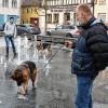 Ein bisschen Spaß muss sein: Vor und nach der Frühjahrsprüfung hatten die Hunde einen Heidenspaß am Wasserspiel in Mellrichstadt.