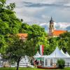 (jul)   Zum 16. Mal gibt der fürstliche Schlossgarten den Rahmen für die Casteller Landhaustage. Von Christi Himmelfahrt, 5. Mai, bis Sonntag, 8. Mai, jeweils von 11 bis 19 Uhr präsentieren und verkaufen Manufakturen, Künstler und Händler ihre Werke, Waren und Produkte. Und auch das kostenfreie Programm rund um die Verkaufsstände bietet einiges: Egal ob die Gäste im Garten die ausgestellten Kunstobjekte betrachten, den edlen Lusitano-Pferden zuschauen oder sich durch den Keller des Domänenamtes führen lassen – es ist für jeden etwas dabei. Die kleinen Besucher haben Spaß beim Ponyreiten durch den Schlossgarten, heißt es in einer Pressemitteilung. Der Eintritt beträgt 8 Euro, Kinder bis 16 Jahre haben freien Eintritt. Parken ist kostenfrei direkt am Gelände möglich. Hunde dürfen angeleint mit auf das Gelände gebracht werden. Im Eintrittspreis enthalten sind das gesamte Rahmenprogramm und der Ausstellerkatalog mit den Adressen der Aussteller.