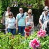 (mb)   Ein farbenfrohes Pflanzenparadies in idyllischer Lage gab es für Gartenliebhaber am Wochenende beim Gartenmarkt der Firma Cottage Garden in Eichenfürst zu sehen. Inhaberin Helga Däumler hatte zum 15. Mal zu ihrem abwechslungsreichen Markt eingeladen, bei dem der Fokus der 40 Aussteller aus ganz Deutschland auf Balkon- und Gartenblumen, Kräutern, Gemüse- und Kübelpflanzen, Gehölzen sowie Gartenaccessoires, -möbeln und -deko lag. Zu entdecken gab es daneben aber auch ein weitergehendes Angebot wie Sommerhüte, Seidenschals, Schmuck, Damenkleidung, Töpferwaren, Körbe, Garten- und Reiseliteratur, Honigprodukte und leckeres Essen. Mit Swing- und Dixieklängen untermalte das Trio Peter Glessing aus Gelnhausen das bunte Treiben musikalisch. „Wie schon in den vergangenen Jahren war die Ausstellung wieder sehr gut besucht“, freute sich Däumler. Die nächste Veranstaltung von Cottage Garden sind die Gartenwelten im Schlösschen in Wertheim am 9. und 10. Juli. Viele weitere Bilder vom Gartenmarkt in Eichenfürst sehen Sie im Internet unter www.mainpost.de/marktheidenfeld.