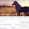 Mehr als 26 000 Likes hat der Würzburger Student Freddy mit seinen skurrilen Facebook-Events bereits gesammelt. Damit hat sich der 21-Jährige einen Spaß erlaubt, der viele Nutzer begeistert.