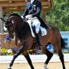 Team bei Olympia: Henry Ludovic auf After You.