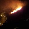 In Kreisform brannte ein Weinberg am Würzburger Stein am späten Donnerstagabend. Die Einsatzkräfte hatten das Feuer schnell im Griff.