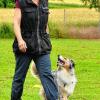 Obedience fordert Hündin und Frauchen gleichermaßen heraus: Im Bild Brigitte Goldhammer aus Mädelhofen mit ihrer Australien Shepherd Hündin.