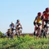 1611 Kilometer radelten (von links) Gerhard Ziegler, Dagmar Schneider, Wolfgang Leibold, Peter Wander und Karlheinz Scheiner auf dem Liegerad von Wipfeld nach Barcelona