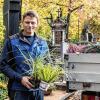 Alle Hände voll zu tun hat Friedhofsgärtner Philipp Ziegler, um rechtzeitig vor Allerheiligen die bestellten Pflanzen auf die Gräber des Hauptfriedhofs zu bringen.