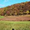 An einer Biegung des Ziegelbaches im Unteren Tal in Wiesenfeld schufen die Stadt Karlstadt und die Teilnehmergemeinschaft Flurbereinigung Wiesenfeld 2 gemeinsam zwei Ausgleichsmaßnahmen, einen renaturierten Nebenarm des Baches auf 100 Meter Länge sowie eine neue Hochwasserrückhaltefläche für das Baugebiet „Gemeindewiesen“, die 2000 Kubikmeter Wasser aufnehmen kann.