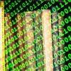 Digital: Die Software einer Würzburger Firma hilft Antiquariaten beim Bücherverkauf.