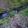 Trotz des Regens in den vergangenen Tagen führt der Marienbach kaum Wasser. Das Foto entstand an der Breiten Wiese.
