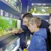 Großer Andrang war wieder bei der Frühjahrsbörse in der Franken-Therme in Bad Königshofen. Viele nutzten den Sonntagnachmittag, um sich über das vielfältige Hobby der Aquaristik zu informieren.
