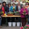 (cr)   Viele Arten von Pflanzen gedeihen in Balkonkästen. Ob man wunderschöne Geranien, pflegeleichte Fuchsien oder duftende Kräuter bevorzugt, bleibt jedem Blumenliebhaber selbst überlassen. Auf was es jedoch ankommt, dass man im Sommer auf eine bunte Blumenpracht stolz sein kann, das verriet Floristin Sandra Handwerker, Tochter der Wonfurter Gärtnerei Weber, bei einem praxisorientierten Vortrag. In Kooperation mit dem Bayerischen Bauernverband veranstaltete die Gärtnerei Weber im eigenen Haus den Vortrag rund um das Thema Balkonkastenbepflanzung. Sandra Handwerker verriet 15 interessierten Damen nützliche Tricks, angefangen von der farblich abgestimmten Zusammenstellung der Pflanzen, der Erde, dem richtigen Dünger, dem geeigneten Standort bis hin zur Pflege. Anhand von Musterkästen zeigte die Fachfrau Farbkombinationen auf und verwies auf Neuheiten im Bereich von Farb- und Pflanzenzüchtungen. Doris Hornung, Vorstandsmitglied im Bayerischen Bauernverband, bedankte sich für den informativen Abend.  Unser Bild zeigt die Teilnehmer mit  Floristin Sandra Handwerker (Mitte) und Doris Hornung (links daneben) vom Bayerischen Bauernverband.