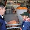 Im Schweinemobil erklärte Edelbert Spielmann vom Fleischerzeugerring Unterfranken Jung und Alt die moderne Schweinehaltung, was die kleinen Mastferkel nur ganz  wenig zu interessieren schien.
