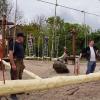 (iko) Jedes Jahr im Frühjahr wird der Mehrgenerationenspielplatz der Gemeinde Oberpleichfeld am Feuerwehrhaus wieder in Ordnung gebracht. Gewöhnlich wird geölt und gestrichen, Rasen gemäht und Sträucher zurückgeschnitten. Diesmal ist die Frühjahrsaktion aufwändiger. Nach einer TÜV-Inspektion müssen jede Menge Hölzer ausgewechselt werden. Der Spielplatz wurde 2010 für damals 70 000 Euro und mit hohen Fördergeldern komplett neu angelegt. Seitdem ist die Abenteuerlandschaft mit vielerlei Kletterkombinationen sehr beliebt – bei Kindern und Erwachsenen. Die Gemeinde hat ein fürsorgliches Auge auf ihn und Gottfried Wunderling kümmert sich ehrenamtlich um die Sauberkeit und Ordnung. „Der Mehrgenerationenspielplatz ist so toll, er soll erhalten bleiben“, sagt Wunderling. Dass ihm tüchtige Helfer vor allem beim Frühjahrsputz zur Seite stehen, freut ihn. Mit dabei ist diesmal wieder Klaus Schömig aus Gerlachshausen, der vor sieben Jahren gemeinsam mit dem damaligen Bürgermeister Raimund Hammer die Kletterteile aufgebaut hat. Bisher waren viele Hölzer des Spielplatzes aus Kiefernholz. Sie wurden jedes Jahr gestrichen. Trotzdem ist das weiche Holz morsch geworden. Zahlreiche Teile wurden nun mit Akazienholz ausgetauscht. Es gehört zu den robustesten Holzarten der Welt und ist extrem widerstandsfähig. Die Oberpleichfelder werden diese Hölzer in Zukunft nicht mehr streichen müssen. Für die Helfer vor Ort war es eine große Erleichterung, dass Martin Pfister das Akazienholz mit einem Wasserhochdruckreiniger bearbeitete. Die Rinde wurde damit sauber vom Baum entfernt. „Dass wir nicht alles per Hand abschälen mussten, hat uns viel Arbeit erspart“, sind die Oberpleichfelder Ehrenamtlichen dankbar. Sie hoffen nun, dass sich Kinder und deren Eltern und Großeltern wieder gern auf dem Mehrgenerationenspielplatz aufhalten und ihn pfleglich behandeln. Mängel und beschädige Teile sollten umgehend bei der Gemeinde gemeldet werden.