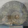 Dieser seltene Nautilus lag am Rand des Kirchheimer Steinbruchs.