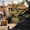 Denkwürdige Ereignis 1997: die alte Dorflinde am Paul-Gerhardt-Platz stürzte ein. Es war der Anlass für ein Lindenfest, das seither Jahr für Jahr in der Marktgemeinde gefeiert wird.