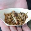 (Noch) nicht jedermanns Geschmack: Insekten frisch aus der Pfanne.