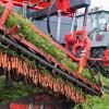 Ein Landwirt erntet Bio-Möhren: „Möhren und Kartoffeln sind Topseller“, sagt Biolandwirt Thomas Schwab aus Remlingen (Lkr. Würzburg).