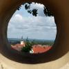 Ihr Fokus liegt auf Wiesenbronn. Bürgermeisterin Doris Paul blickt durch ein Kunstwerk im „Wein-Kunst-Weg“ ihrer Heiomatgemeinde.