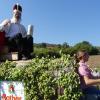 Majestäten und andere Bierfreunde: Ein Bierwagengespann gehört zum Weisbacher Volksfest dazu.