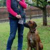 Marion Riedmann mit ihrem Hund „Coco“ im Garten in Ansbach, wo sie die vermeintlichen Giftköder gefunden hatte.
