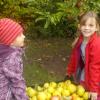 Die Kinder des Kindergartens Pusteblume in Sulzheim bei der Apfelernte.