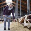 Für die Imagekampagne „Unsere Bayerischen Bauern“ stellte die Ettlebener Landwirtschaftsmeisterin Franziska Klenkert auf Facebook ihre Arbeit als Bullenmästerin vor. 230 000-mal wurde der Film bereits angesehen.
