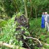 Tornado über Acholshausen oder „nur“ eine heftige Gewitterböe? In die Diskussion darüber hat sich sogar Wetterexperte Jörg Kachelmann eingeschaltet. Tornado über Acholshausen oder „nur“ eine heftige Gewitterböe? In die Diskussion darüber hat sich sogar Wetterexperte Jörg Kachelmann eingeschaltet.