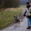 Mara ist der Lieblingshund von Erika Isigkeit. Dreimal in der Woche fährt die 84-Jährige ins Schwebheimer Tierheim, um mit den Hunden Gassi zu gehen.