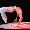 Einige Künstler des Festivals: der Handstandkünstler Anatoly Zalevsky