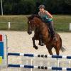 (wos)   In diesem Jahr veranstaltet der Reitverein Haßfurt am 15. April ein WBO-Turnier anstelle des traditionellen Pferdemarktes. Angeboten werden Führzügelwettbewerbe für die kleinen Reiter ab sechs Jahre sowie Dressur- und Springwettbewerbe für die Älteren. Highlight auch in diesem Jahr ist der Jump-and-Run-Wettbewerb für Reiter ab acht Jahre. Nennungen werden bis zum 6. April angenommen. Weitere Informationen und Nennungsformulare auf www.reitverein-hassfurt.de und auf der Facebook-Seite des Reitvereins.