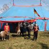Von Donnerstag bis Sonntag gastiert der Circus Renado auf dem Festplatz in Bad Königshofen. In dem reinen Familienbetrieb hat jedes Mitglied seine Aufgaben in und außerhalb der Manege.