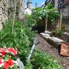 Gelungener Generationswechsel: Der kleinste Garten am Tag der offenen Gartentür schmiegt sich in Eibelstadt an die Stadtmauer. Er ist eine Perle in der langen Tradition der Mauergärten, an der man entlang flanieren kann.