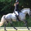 Sieg beim „Heimspiel“: Katrin Pfister vom Reit- und Fahrverein Gerolzhofen gewann mit Hengst „Sternbergs Like Me“ den auf der Reitanlage „An der Klesenmühle“ ausgetragenen Dressurwettbewerb.