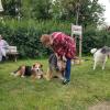 Glückliche Tiere, glückliche Menschen auf dem Gnadenhof Gollachostheim Foto: Gisela Schmidt Glückliche Tiere, glückliche Menschen auf dem Gnadenhof Gollachostheim Foto: Gisela Schmidt