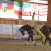 Voltigieren als Mannschaftssport ist teambildend und schafft Vertrauen - zwischen Mensch und Pferd. Foto: Matthias Ernst