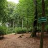 Einem Park ähnlich erscheint der "Ruhewald Naturbestattung Greußenheim", in dem alle Bestatter zugelassen sind. Foto: Herbert Ehehalt